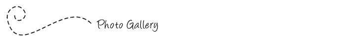 photo_gallery.gif